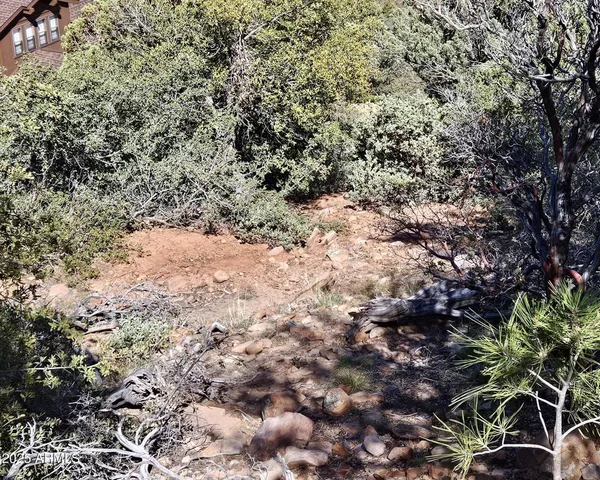 a view of a large yard with lots of bushes