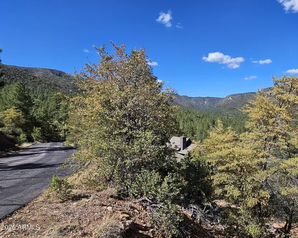 a view of a back yard from a patio