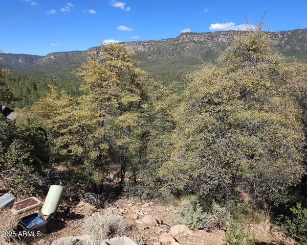 view of a wooden floor