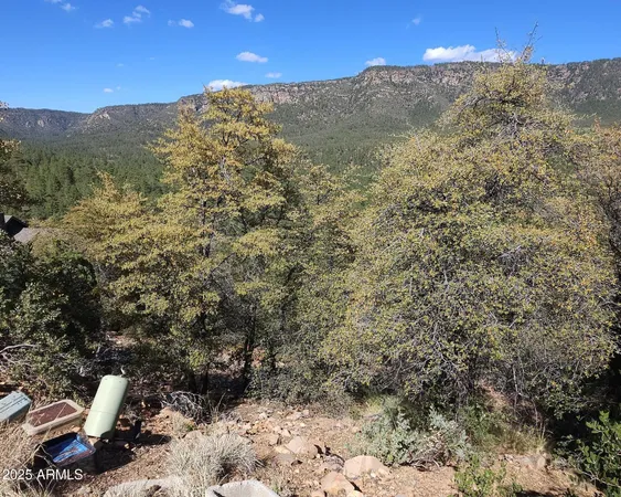 view of a wooden floor