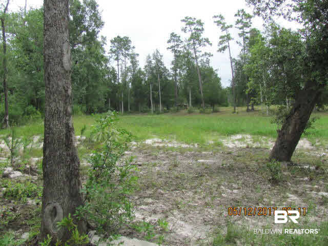 18439 Vaughn Road Seminole, AL 36574 - Photo 3 of 7