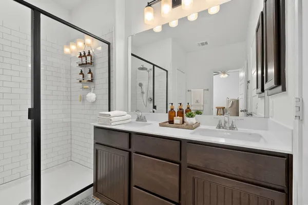 a bathroom with a sink a mirror and a shower