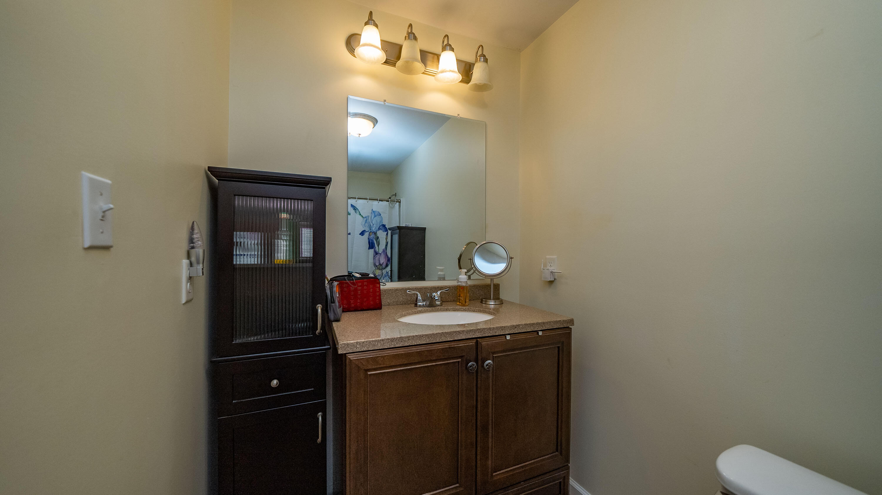 251 Dreher Street Lexington, SC 29072 - Photo 71 of 78