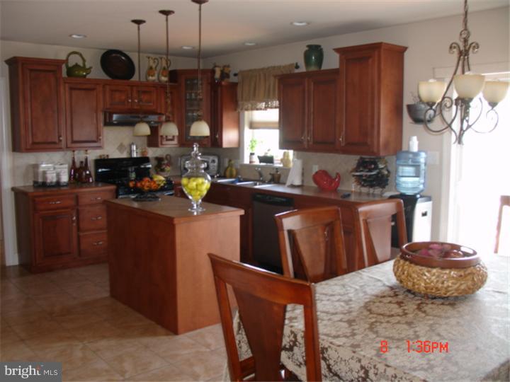 78 Virginia Avenue Sinking Spring, PA 19608 - Photo 3 of 21 Kitchen