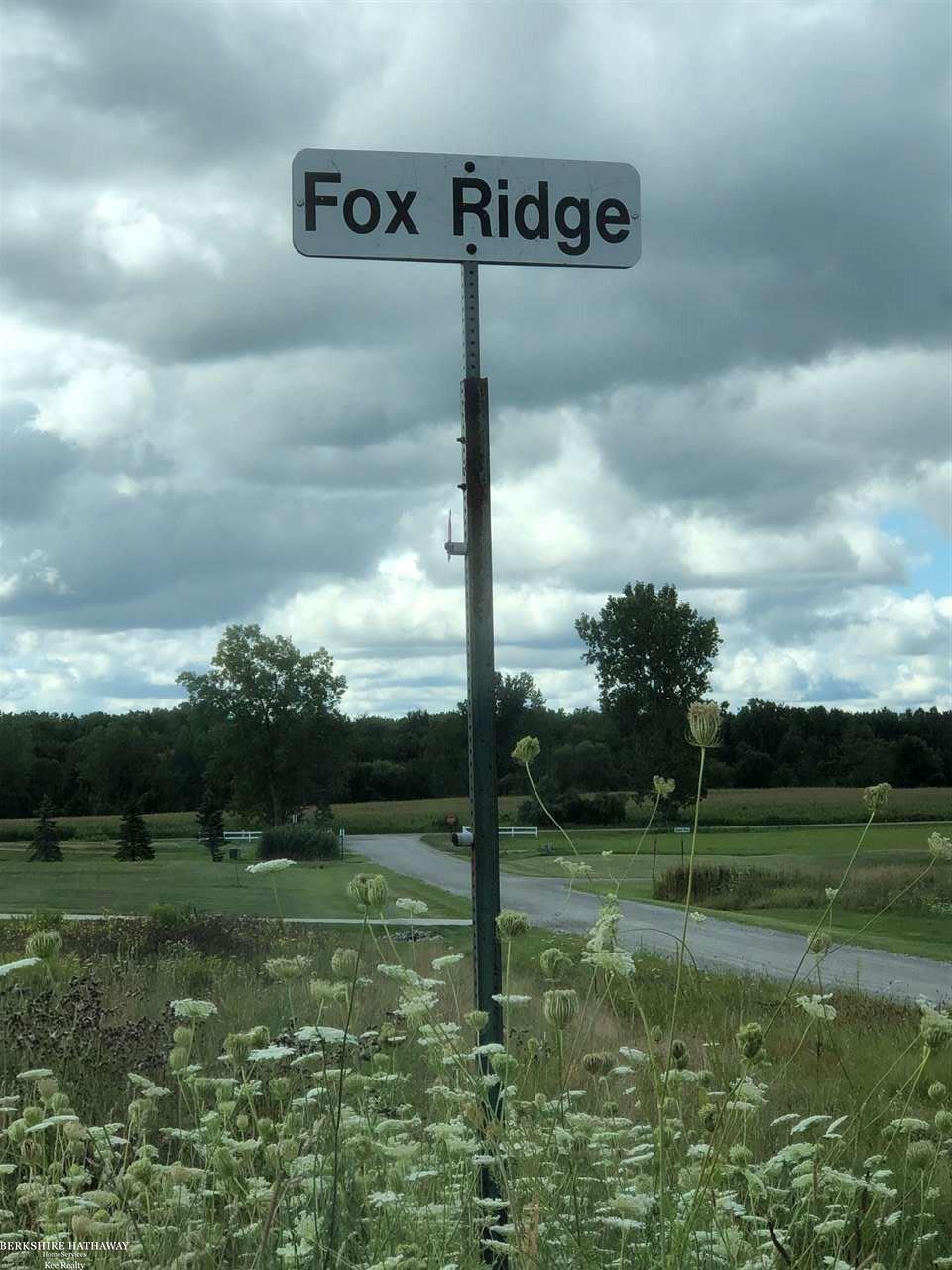 0 Fox Ridge Almont, MI 48003 - Photo 3 of 3