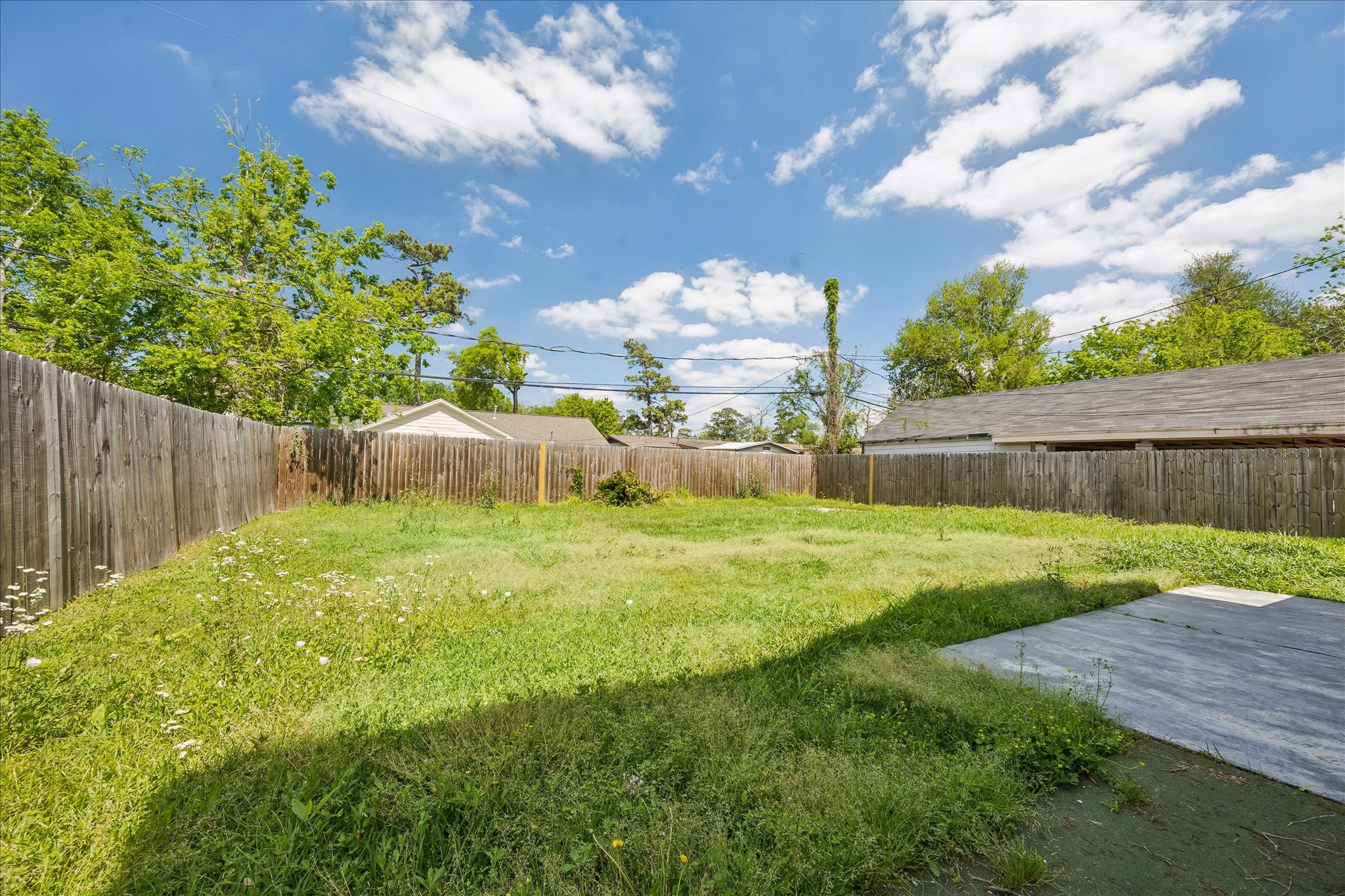 3817 Palm Street Houston, TX 77004 - Photo 5 of 15 a view of a backyard with a garden