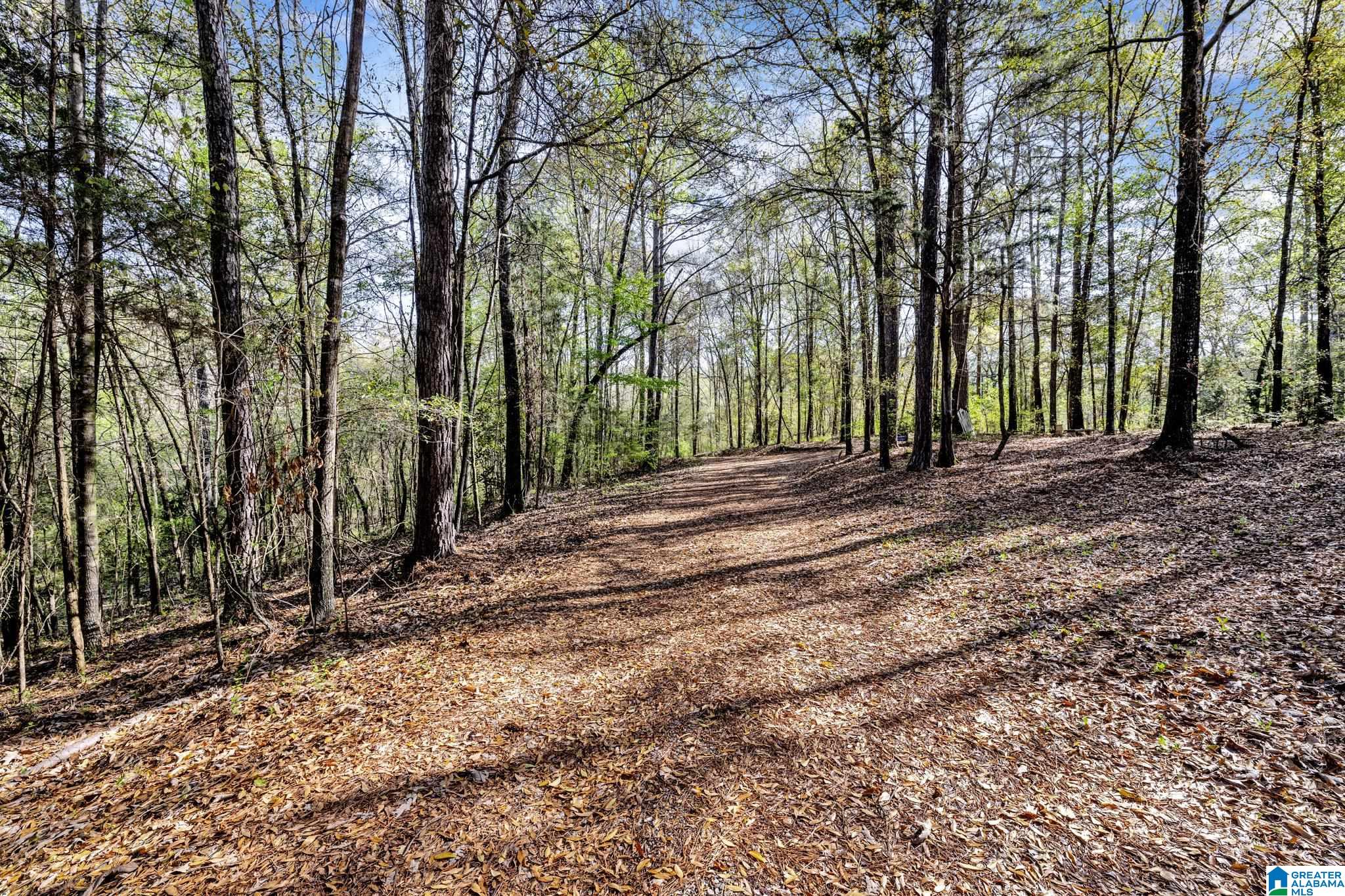 358 Cornelia Road Brierfield, AL 35035 - Photo 57 of 62