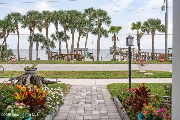 a view of a park with palm trees