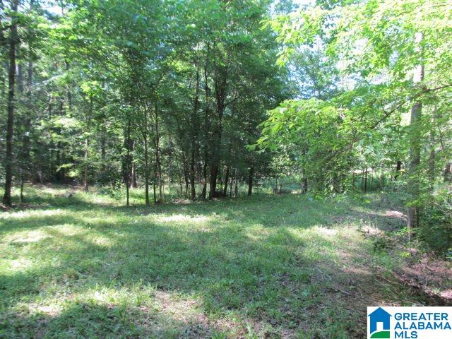 0 Choctaw Trail, Unit 10 Hayden, AL 35079 - Photo 9 of 24