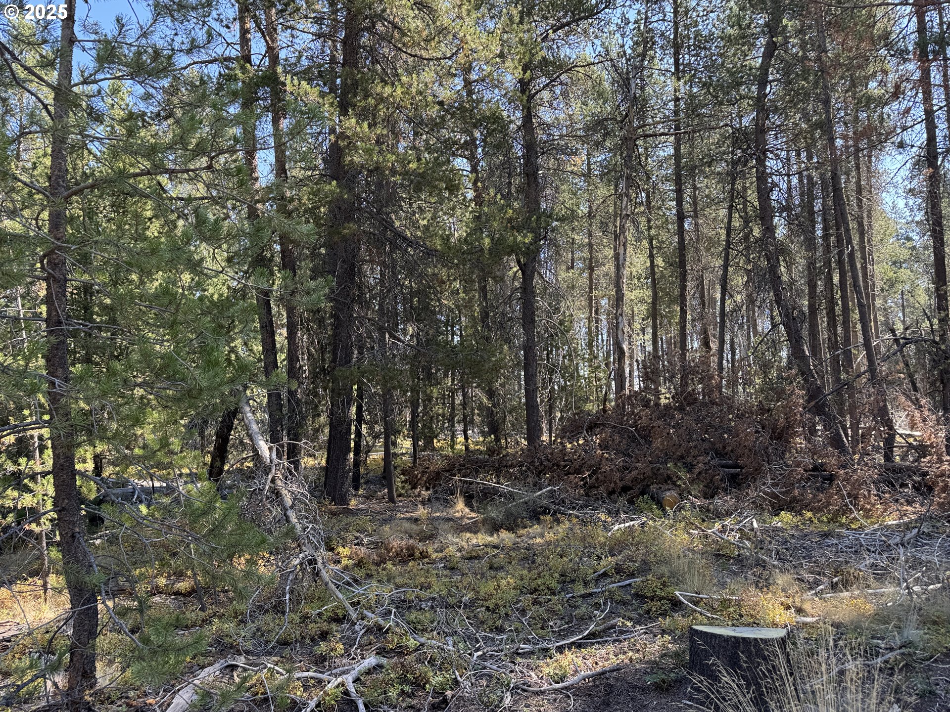 Cloudcap Drive, Unit 6 Chiloquin, OR 97624 - Photo 21 of 27