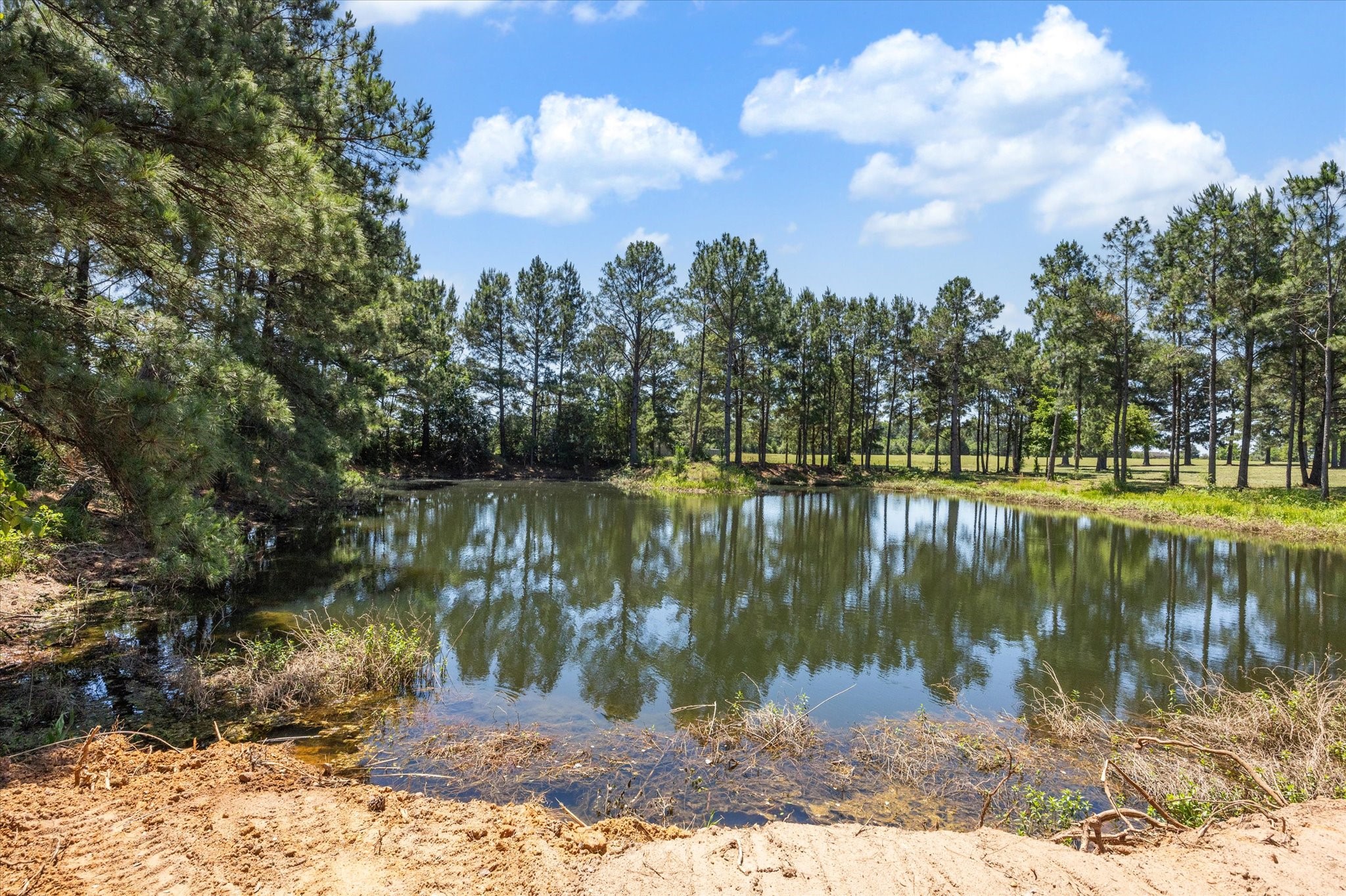 6063 Fm 1094 Sealy, TX 77474 - Photo 2 of 47 a view of lake