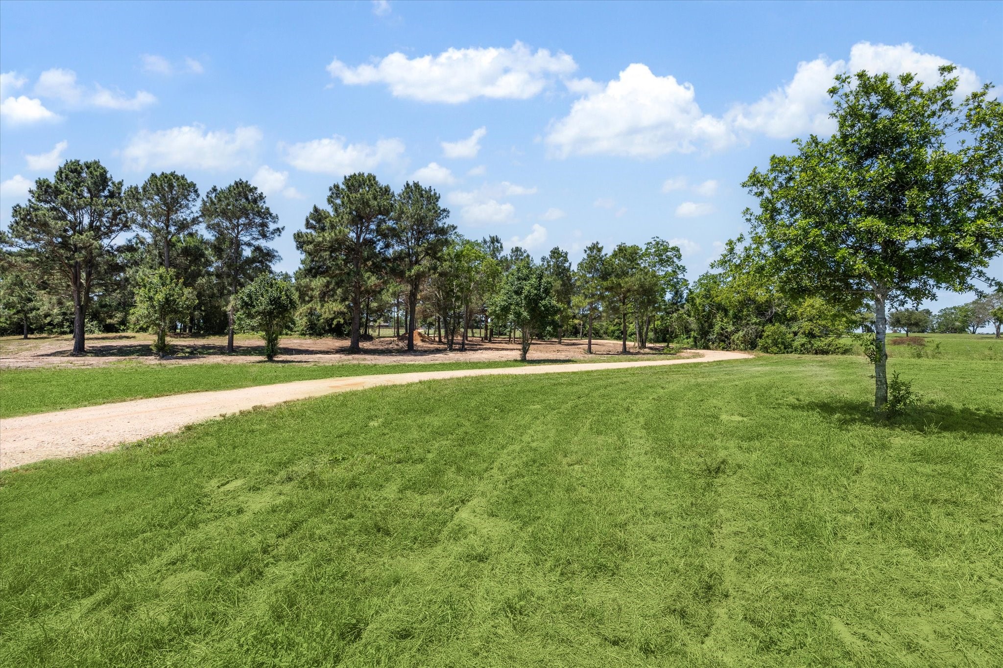 6063 Fm 1094 Sealy, TX 77474 - Photo 5 of 47 Scenic winding road leading up a charming hill, surrounded by lush greenery.