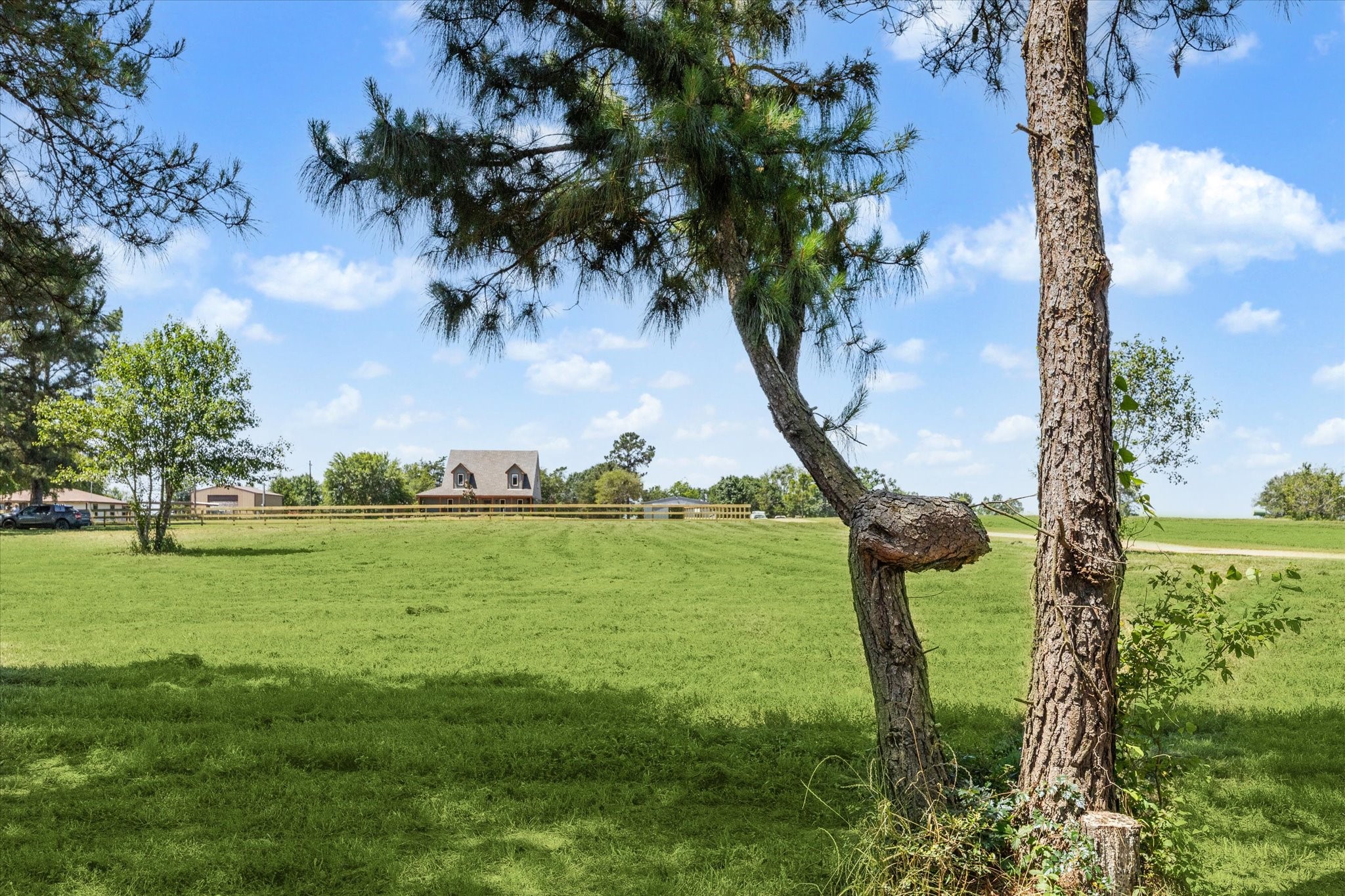 6063 Fm 1094 Sealy, TX 77474 - Photo 8 of 47 a view of a garden with an outdoor space