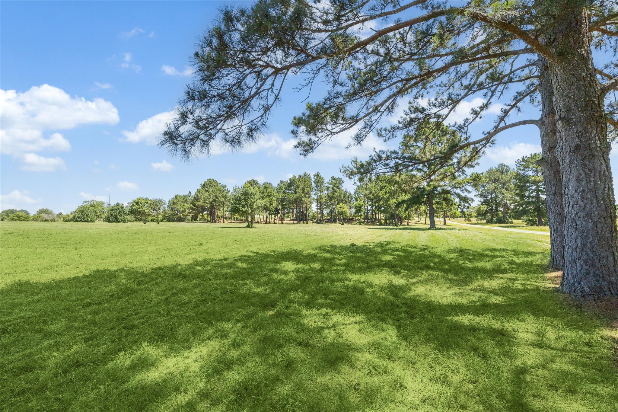 6063 Fm 1094 Sealy, TX 77474 - Photo 10 of 47 a view of yard with green space