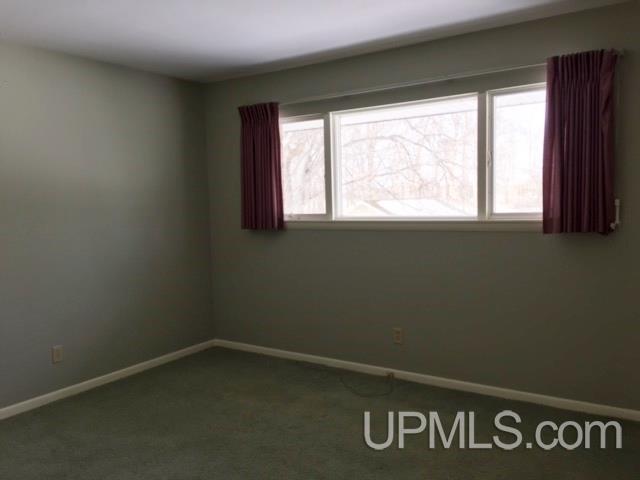 3885 Co Road Cornell, MI 49818 - Photo 16 of 29