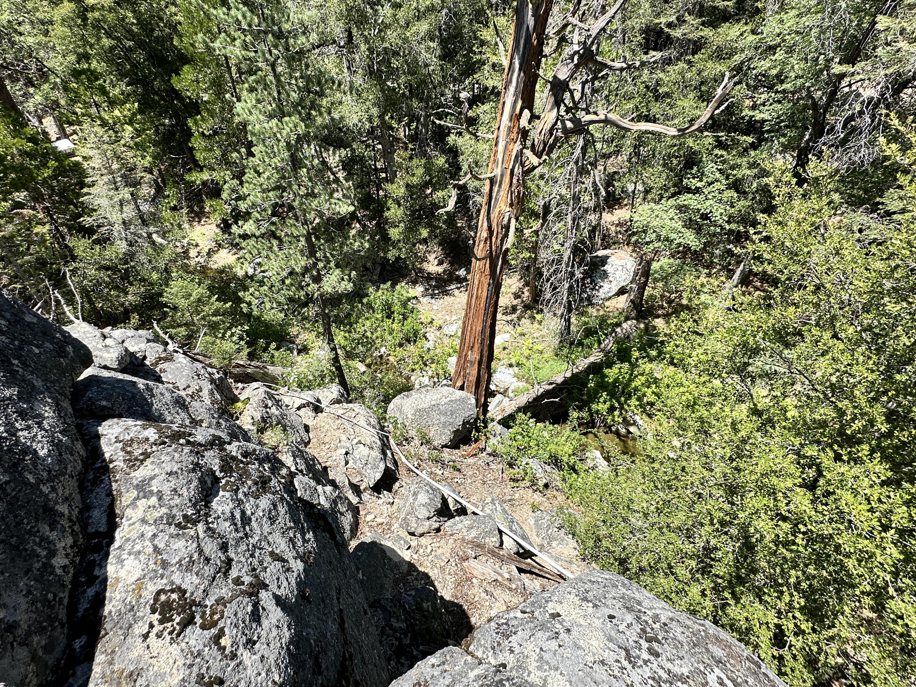 0 Forest Rte 4S02 Idyllwild, CA 92549 - Photo 1 of 11 IMG_4084
