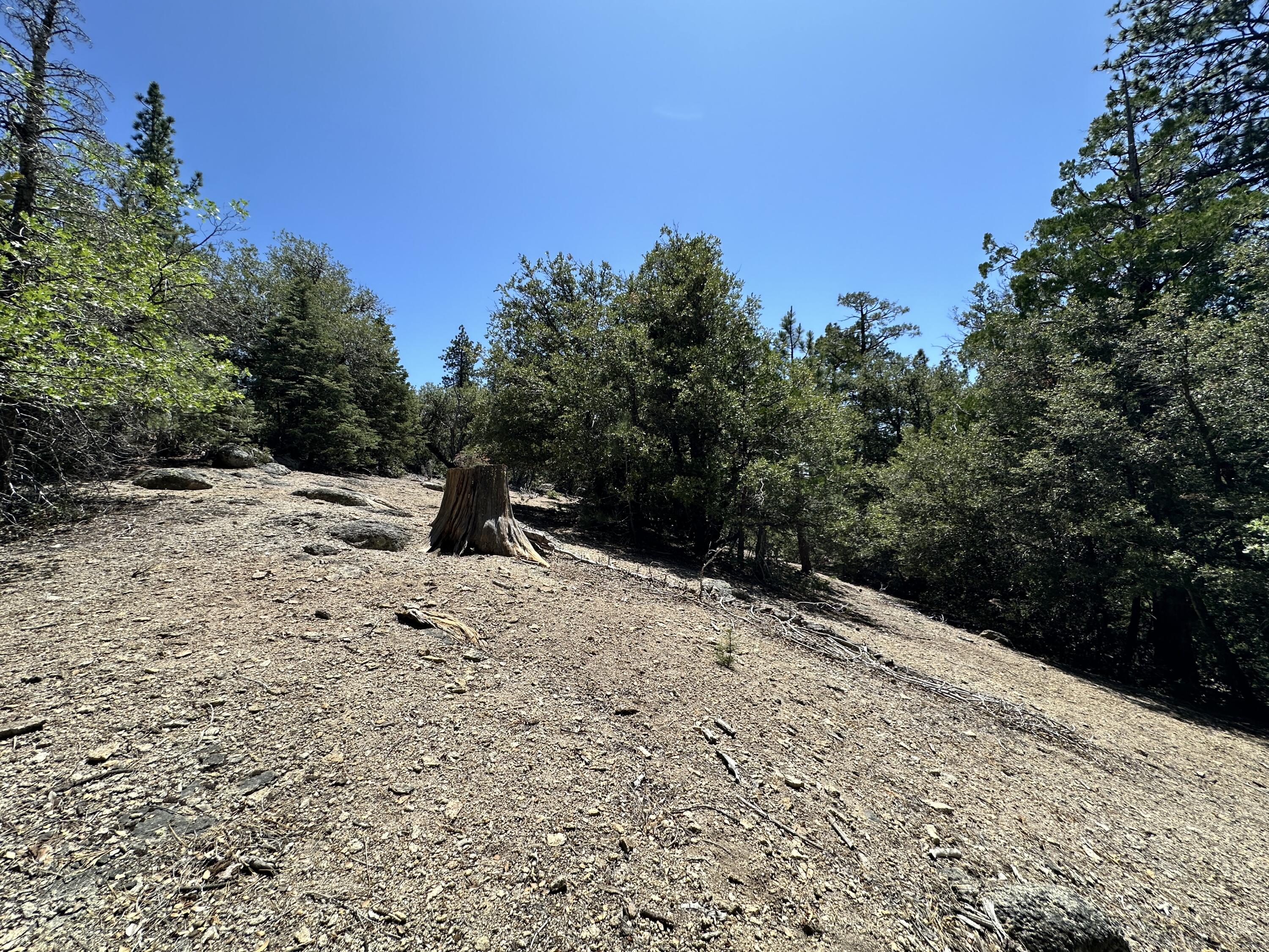 0 Forest Rte 4S02 Idyllwild, CA 92549 - Photo 5 of 11 IMG_4088