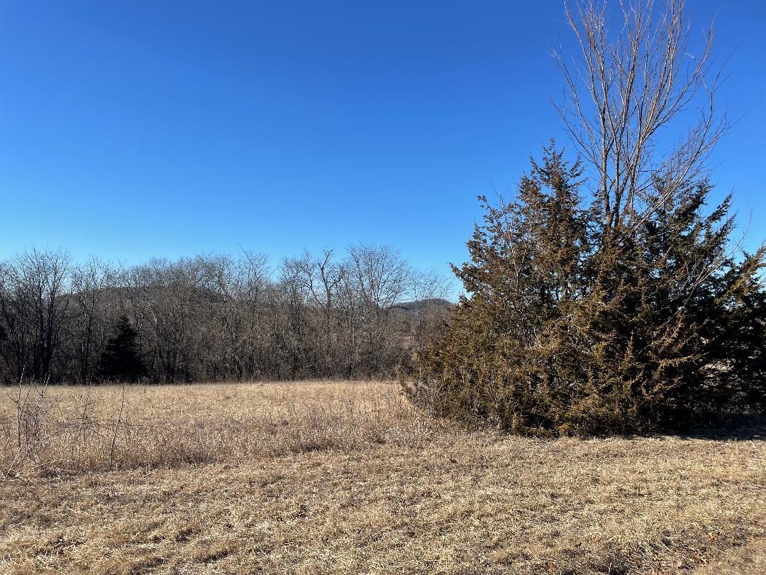 33 Lake Ridge Road Galena, IL 61036 - Photo 2 of 4