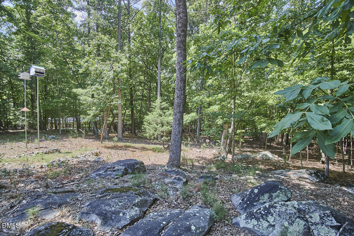 309 Blueridge Road Carrboro, NC 27510 - Photo 48 of 63 030