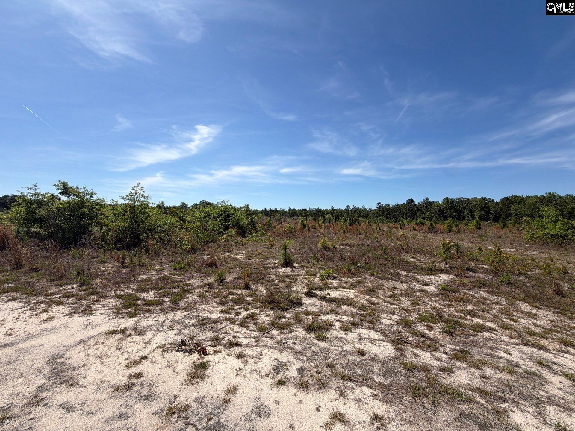 1 Holstein Road Monetta, SC 29105 - Photo 3 of 36