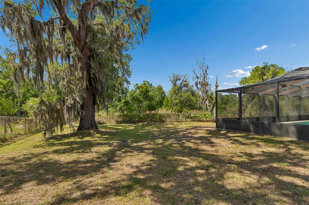 212 Crystal Lake Road Lutz, FL 33548 - Photo 18 of 25