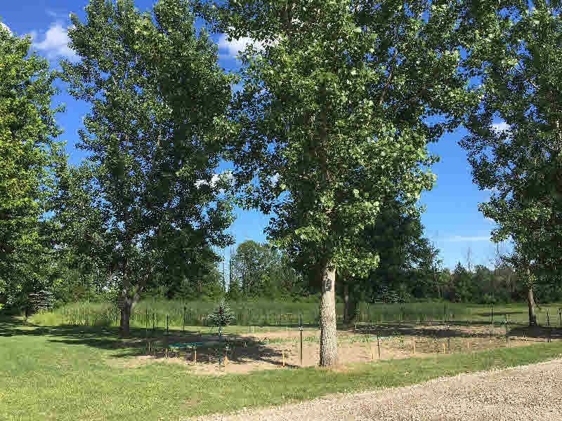 5051 Bay Arenac Line Road Pinconning, MI 48650 - Photo 22 of 24 Gallery Image 22