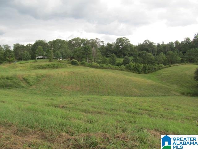 79 Highway 79, Unit 33 Cleveland, AL 35049 - Photo 7 of 32