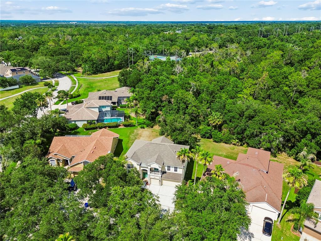 16936 Falconridge Road Lithia, FL 33547 - Photo 80 of 87