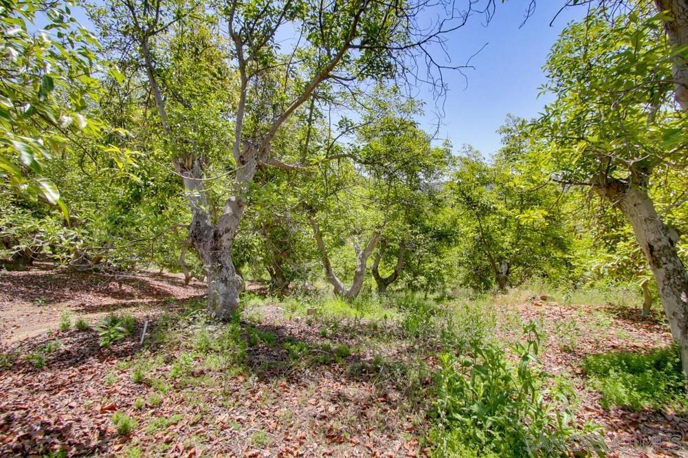 31675 Rancho Amigos Road Bonsall, CA 92003 - Photo 19 of 19 Gallery Image 19