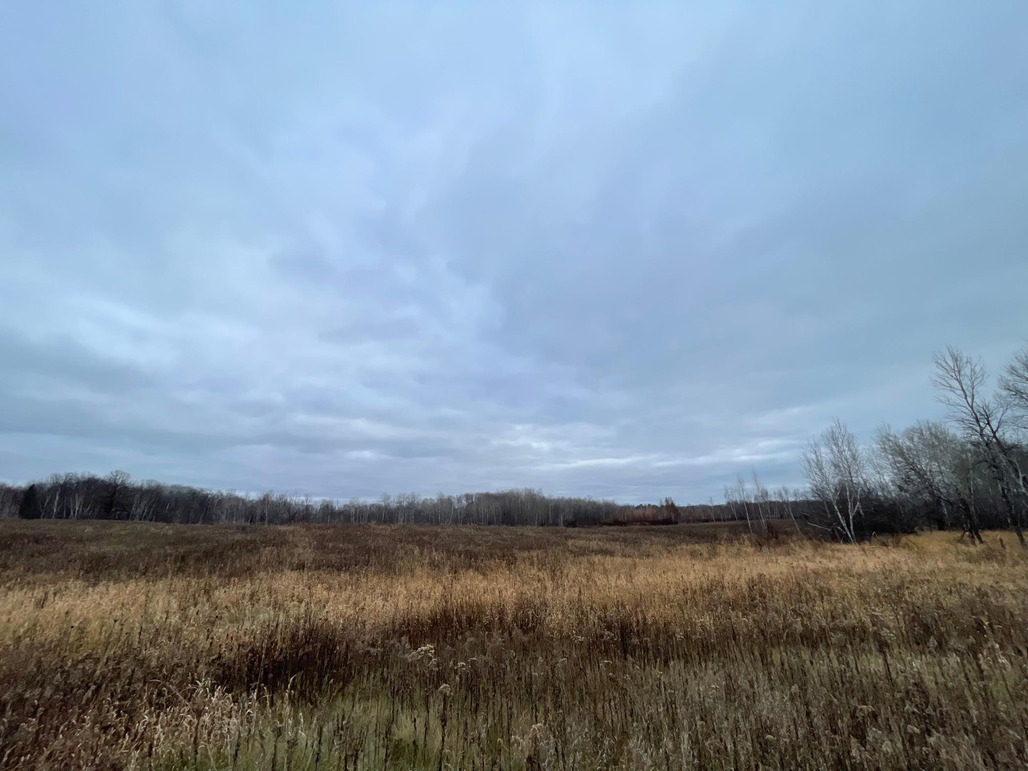 Tbd Olson Road Hinckley, MN 55037 - Photo 20 of 38 Gallery Image 20