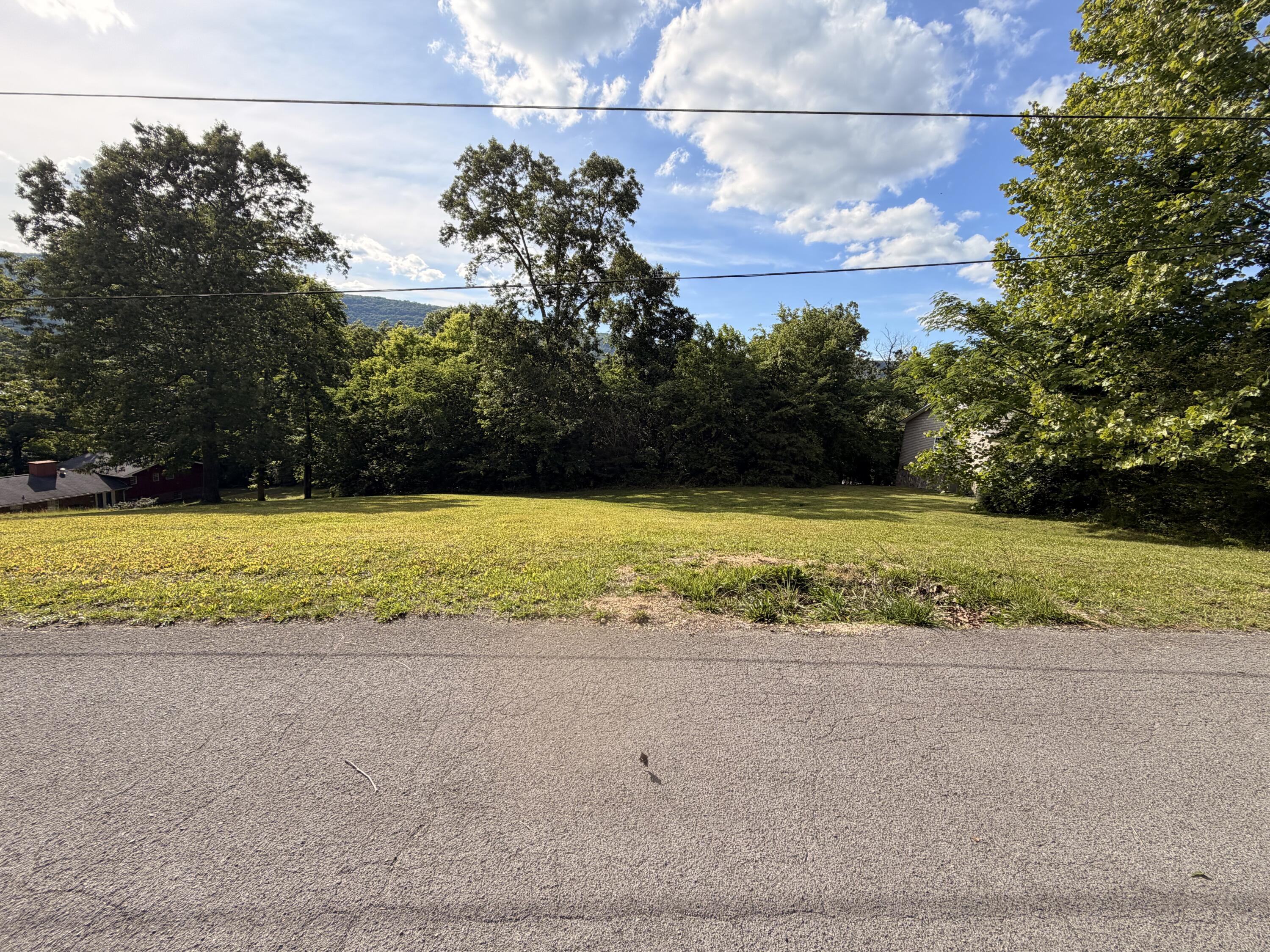 85 Bruce Green Road Dunlap, TN 37327 - Photo 28 of 32 IMG_0367