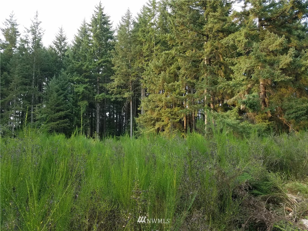 0 Lot - B Banner Rd Port Orchard Port Orchard, WA 98367 - Photo 14 of 16 Gallery Image 14