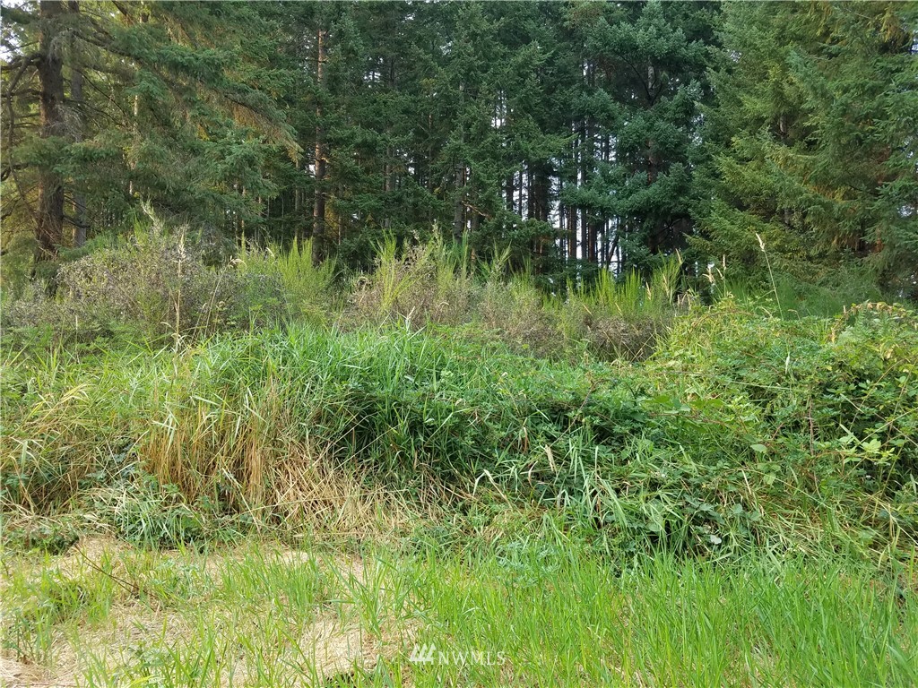0 Lot - B Banner Rd Port Orchard Port Orchard, WA 98367 - Photo 8 of 16 Gallery Image 8