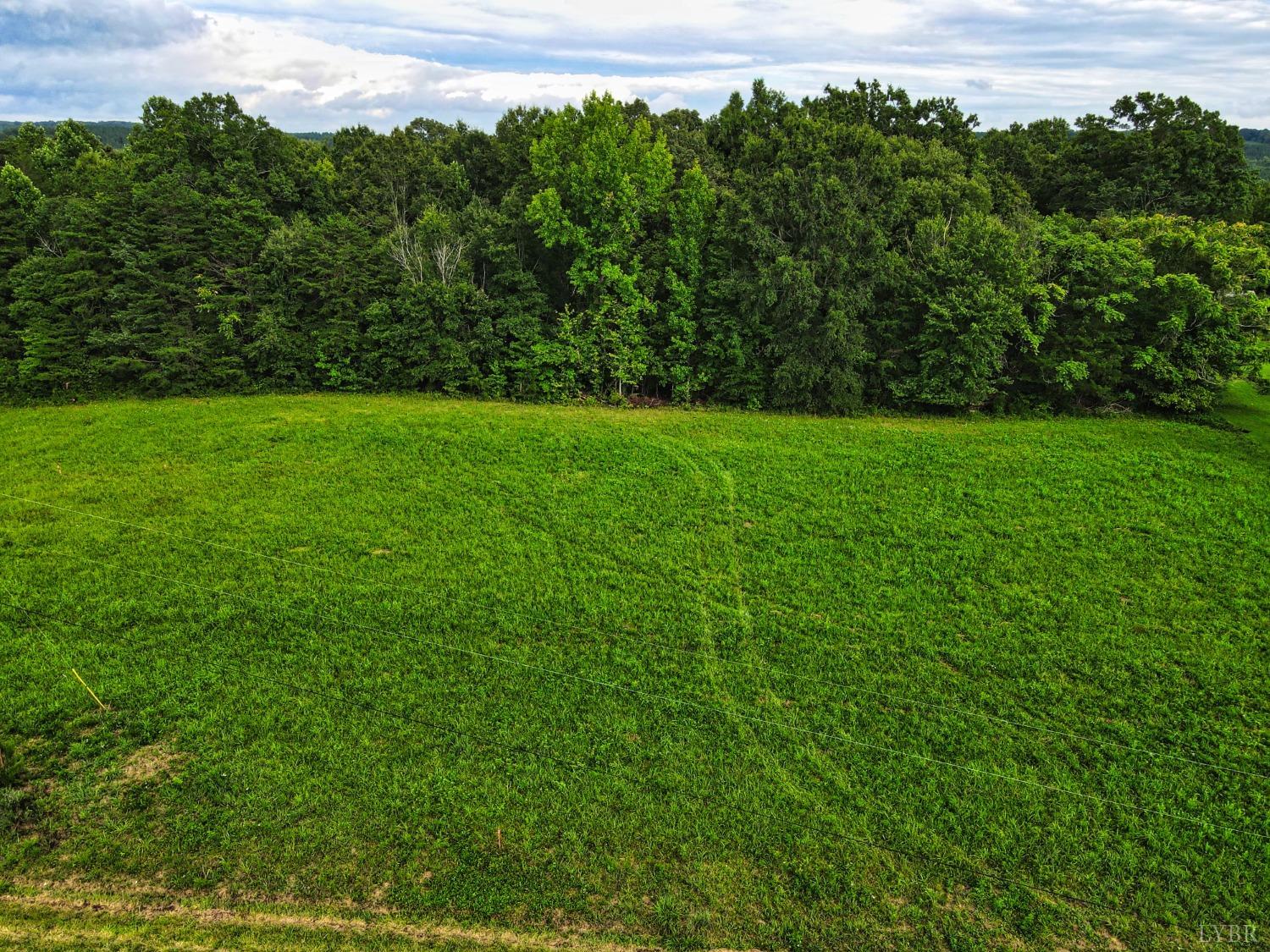 0 White Fall Road Gretna, VA 24557 - Photo 12 of 12 a view of yard with green space