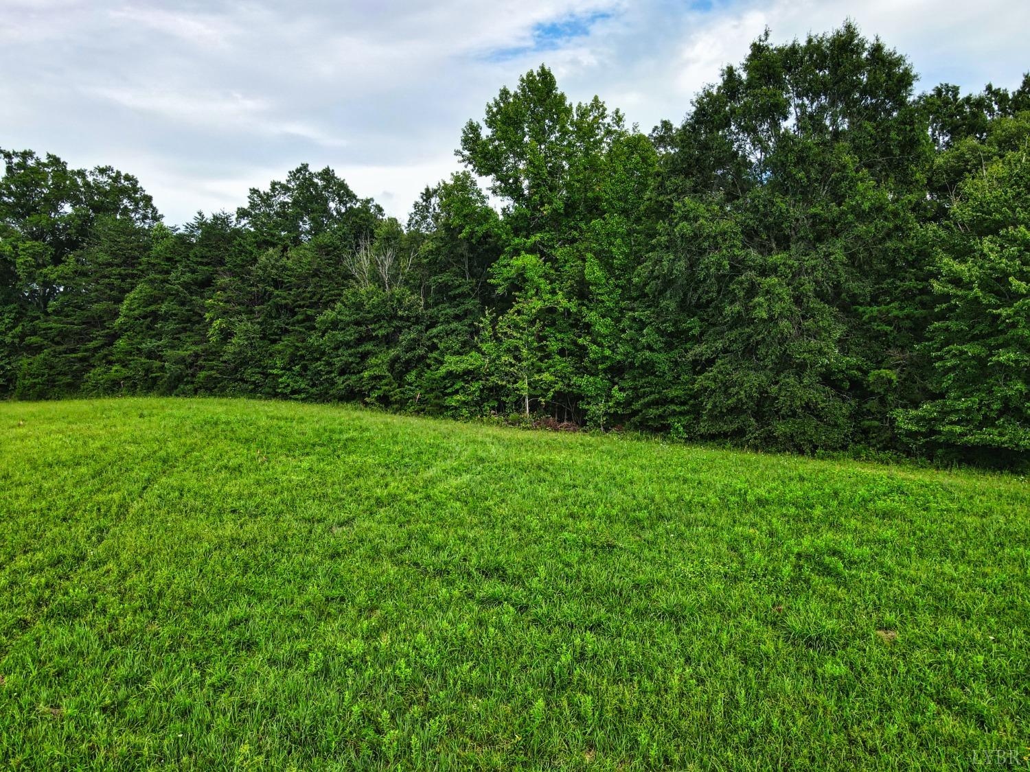 0 White Fall Road Gretna, VA 24557 - Photo 10 of 12 a view of yard with green space