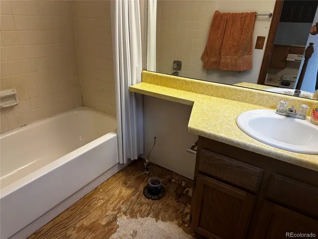 a bathroom with a sink and a bathtub