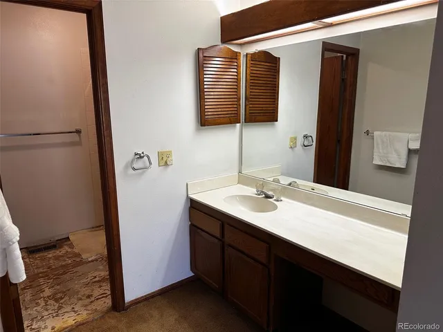 a bathroom with a sink a mirror and a shower