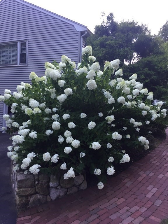 86 Parker Road Framingham, MA 01702 - Photo 29 of 30 Gallery Image 29