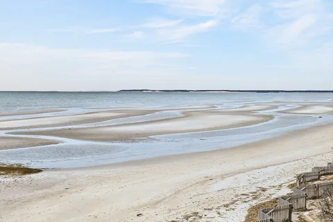 an outdoor view of a garden
