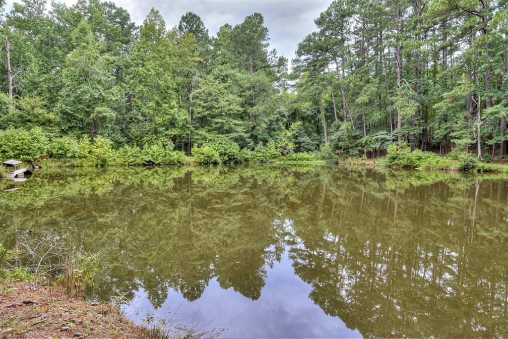 2570 Louisville Road Appling, GA 30802 - Photo 45 of 48