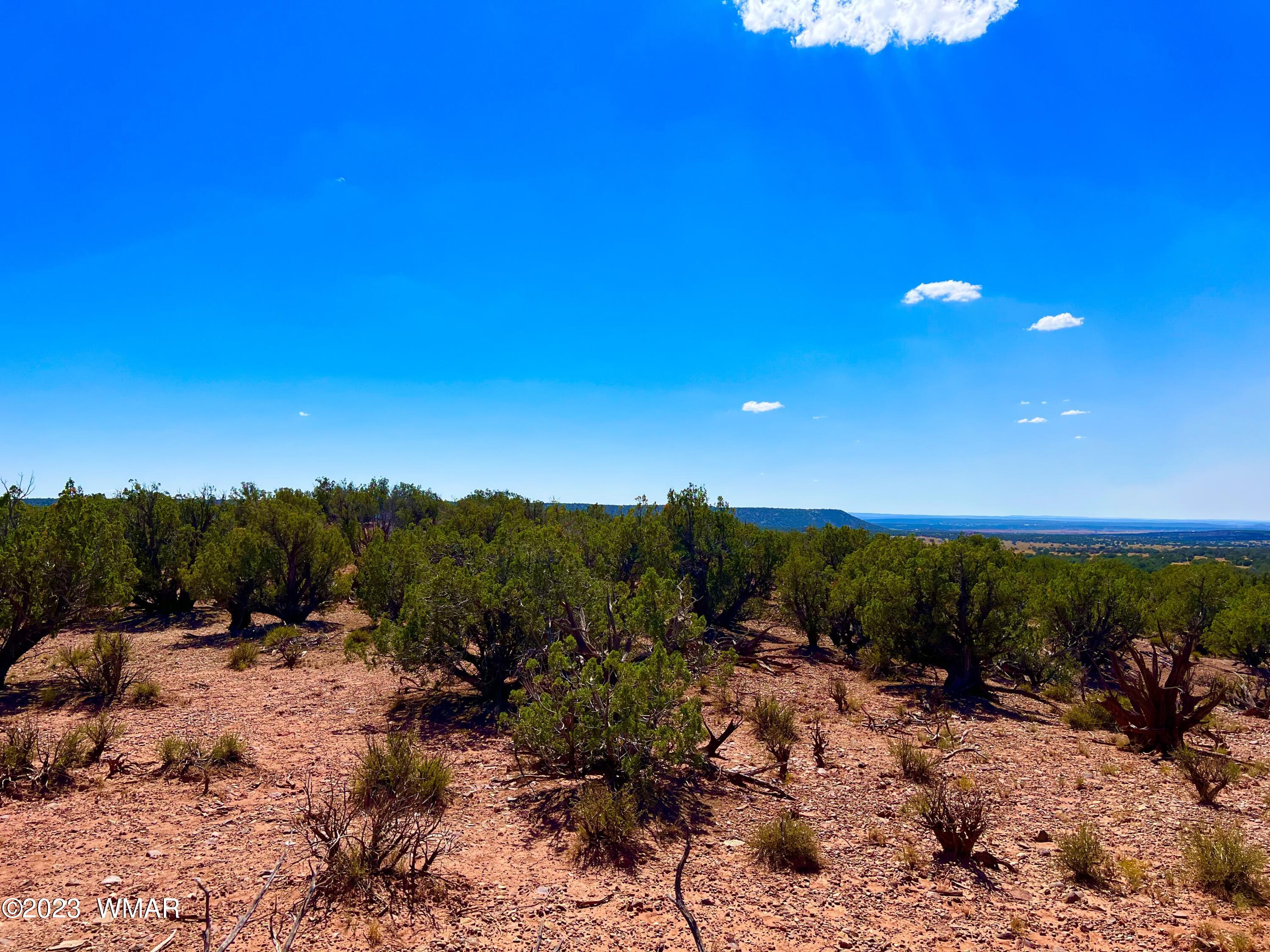 18 Acres Snowflake Az 85937 Snowflake, AZ 85937 - Photo 13 of 23