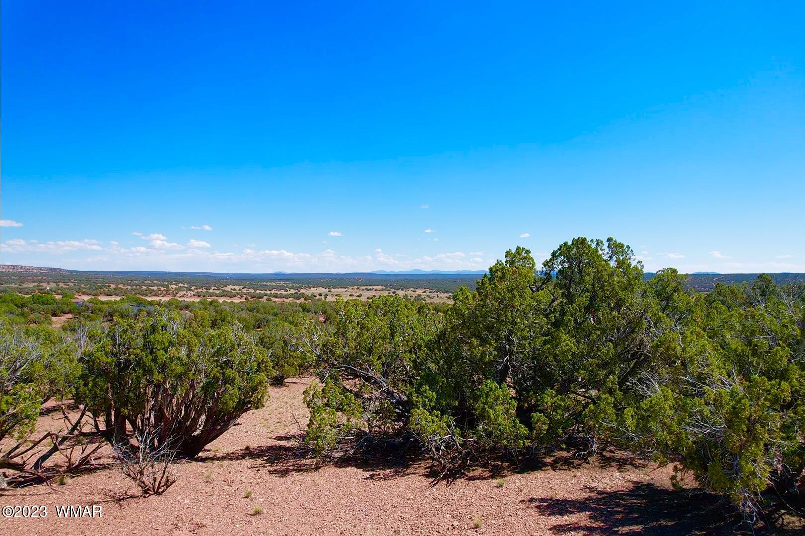 18 Acres Snowflake Az 85937 Snowflake, AZ 85937 - Photo 14 of 23