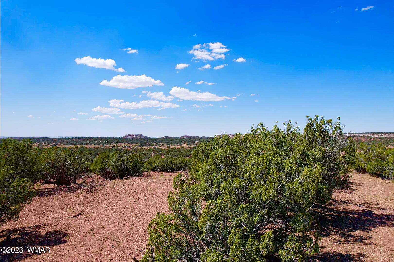 18 Acres Snowflake Az 85937 Snowflake, AZ 85937 - Photo 15 of 23