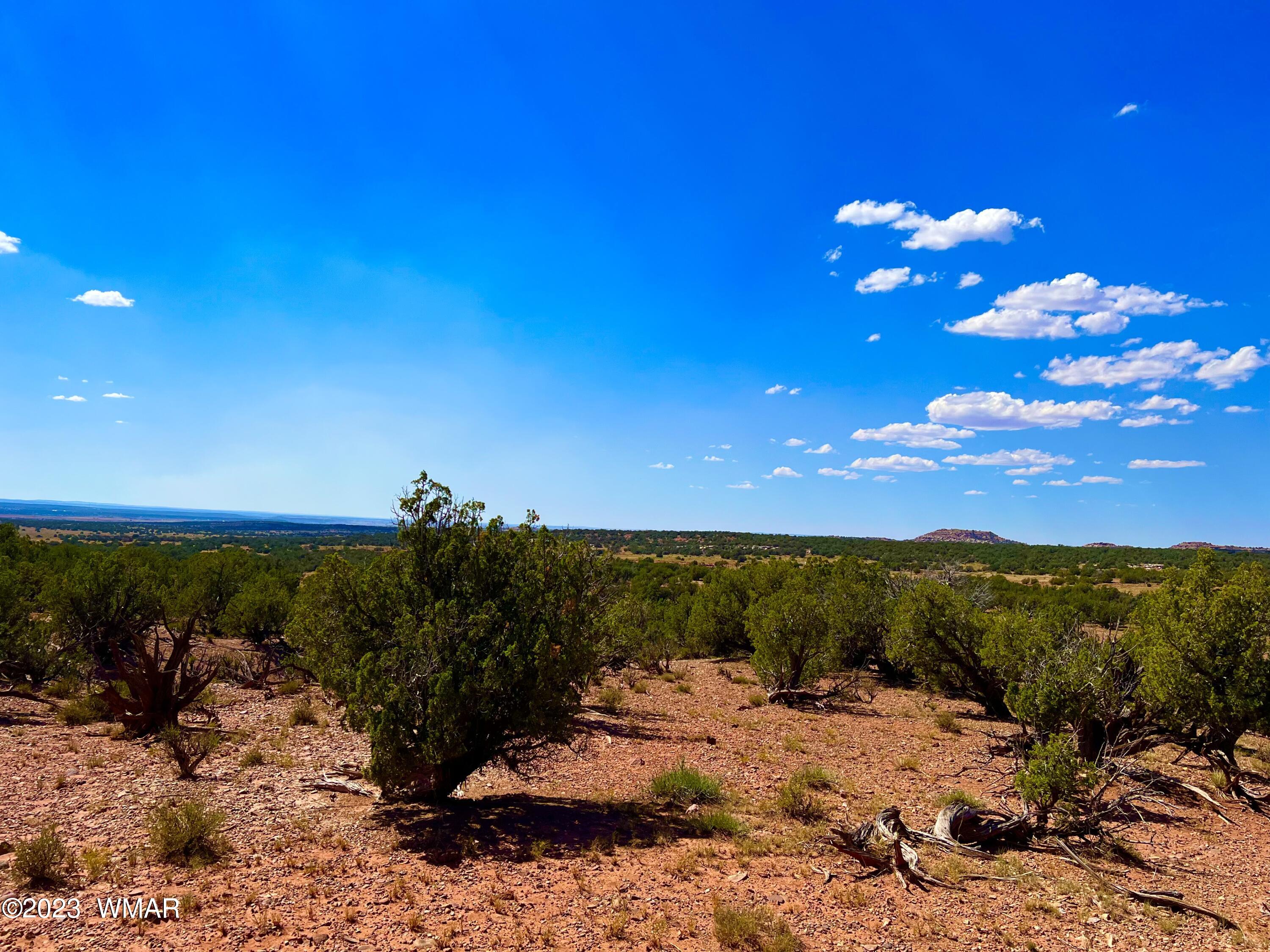 18 Acres Snowflake Az 85937 Snowflake, AZ 85937 - Photo 17 of 23