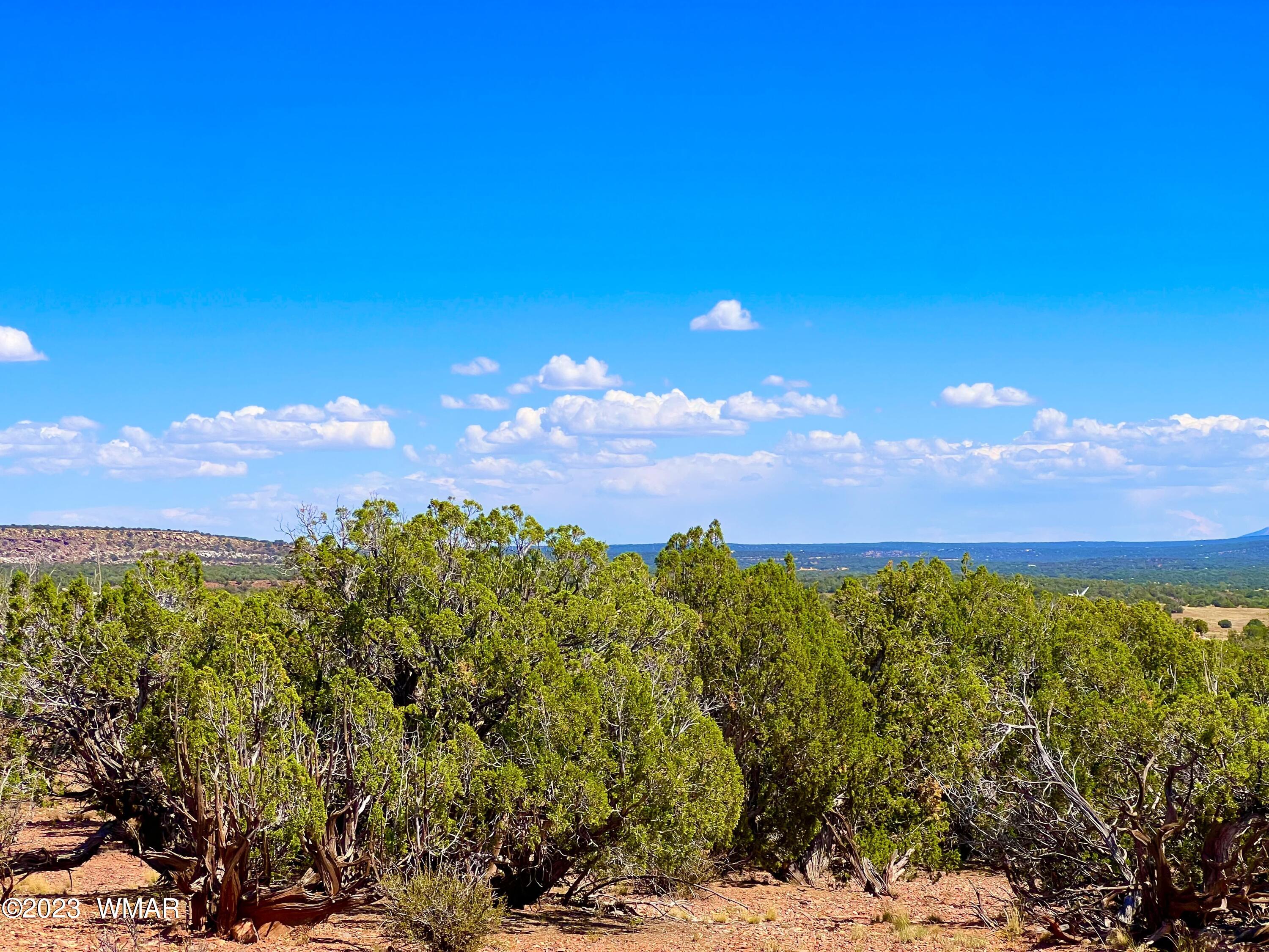 18 Acres Snowflake Az 85937 Snowflake, AZ 85937 - Photo 18 of 23