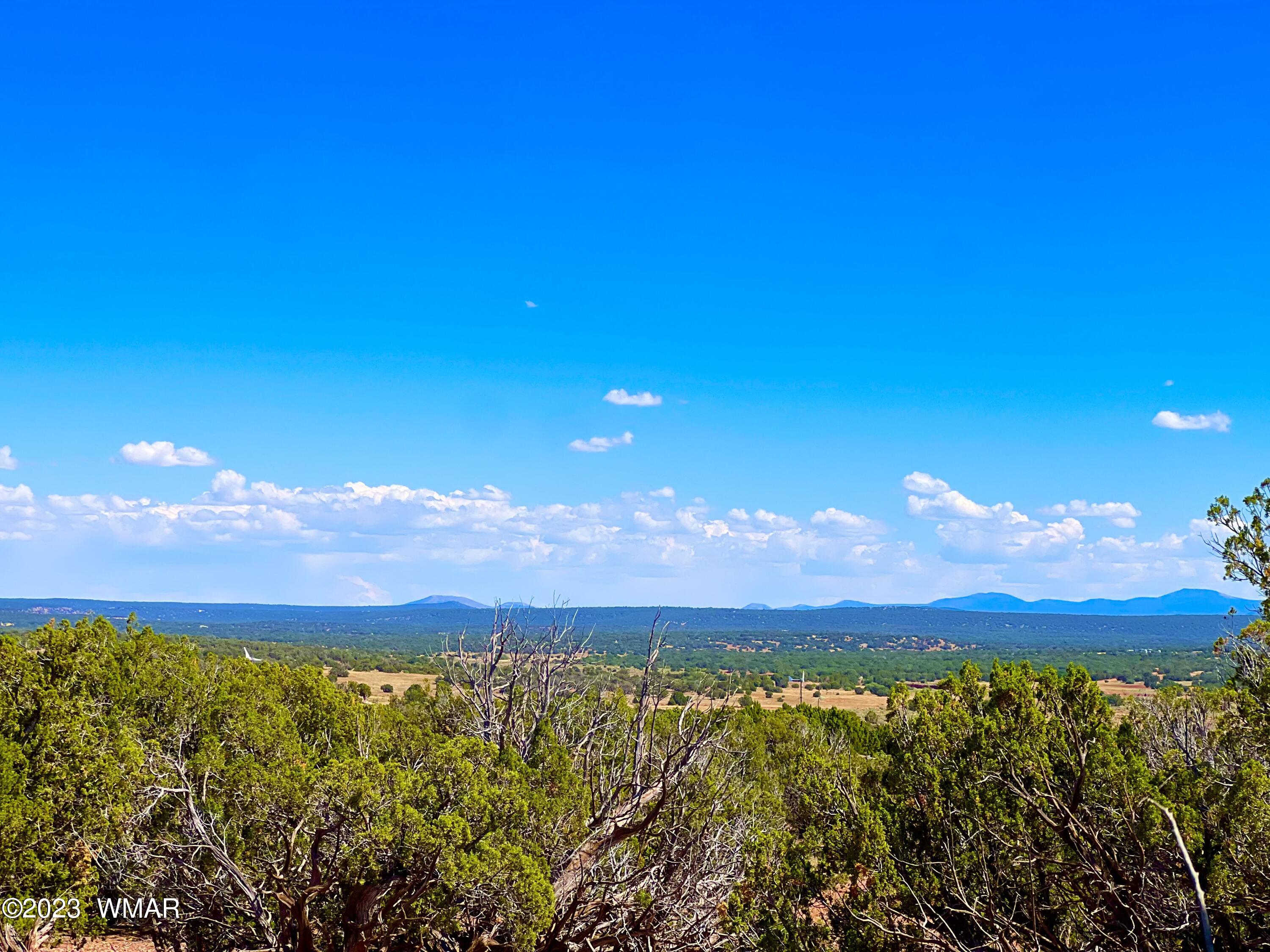 18 Acres Snowflake Az 85937 Snowflake, AZ 85937 - Photo 3 of 23