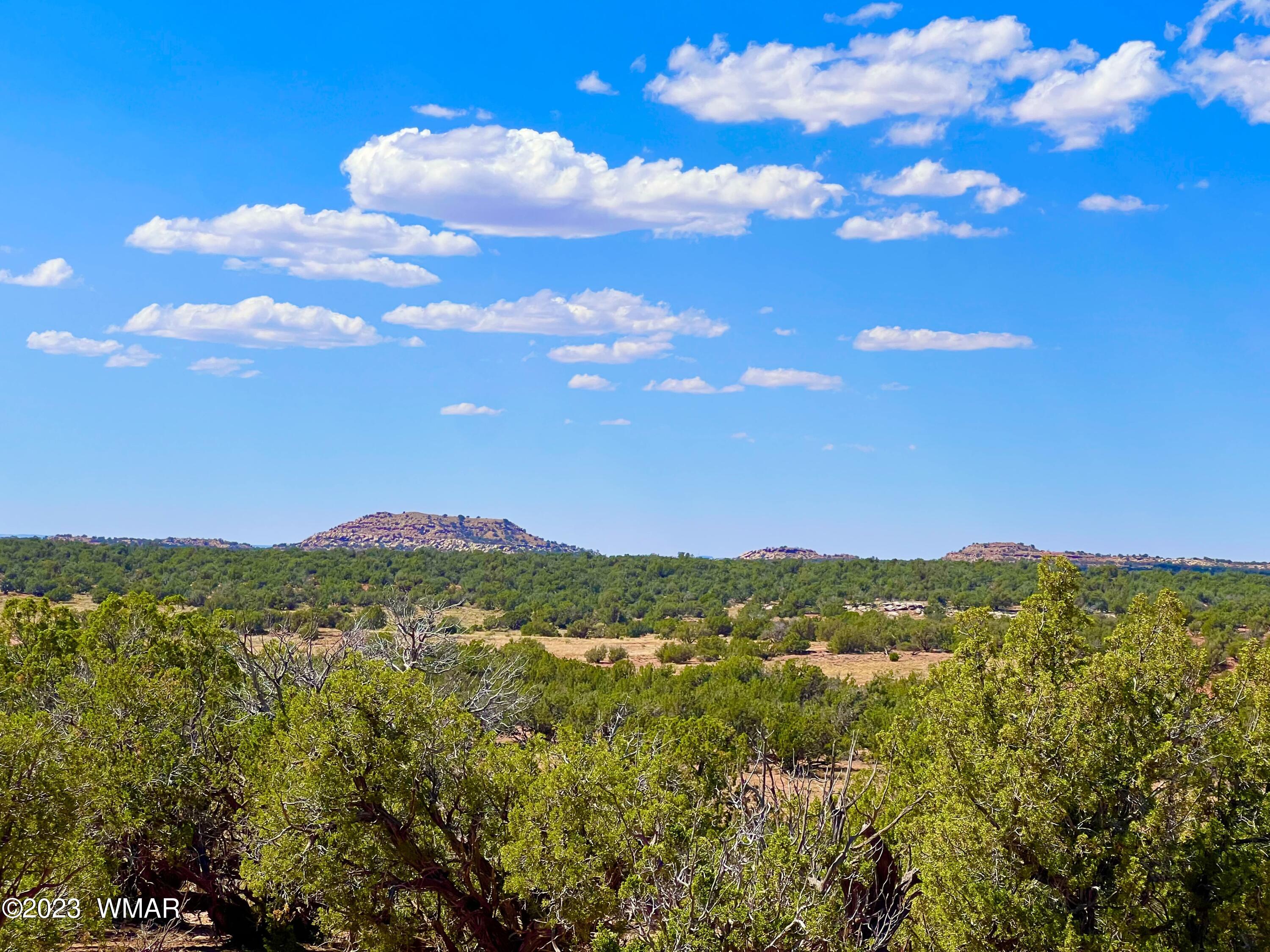 18 Acres Snowflake Az 85937 Snowflake, AZ 85937 - Photo 4 of 23
