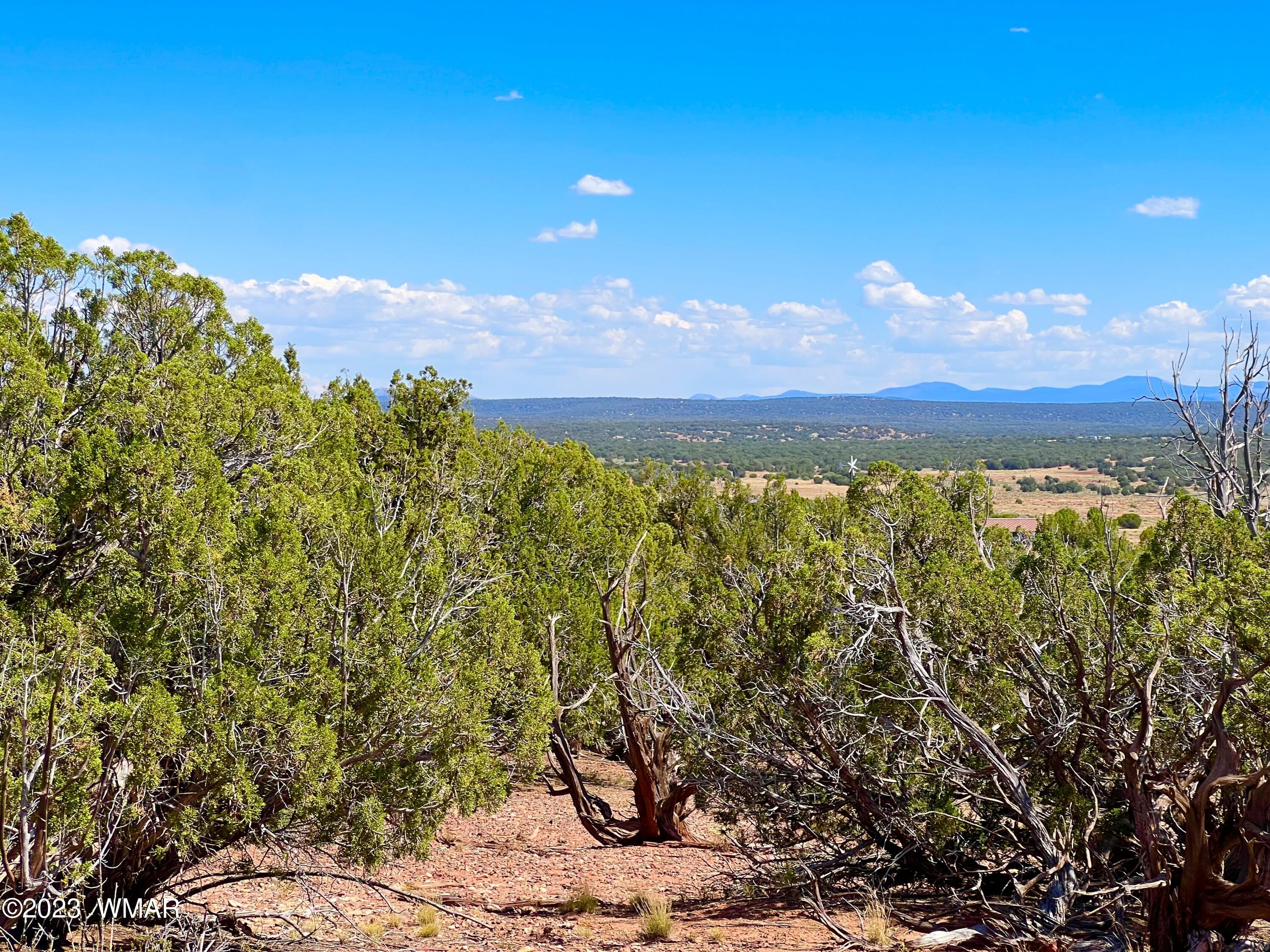 18 Acres Snowflake Az 85937 Snowflake, AZ 85937 - Photo 6 of 23