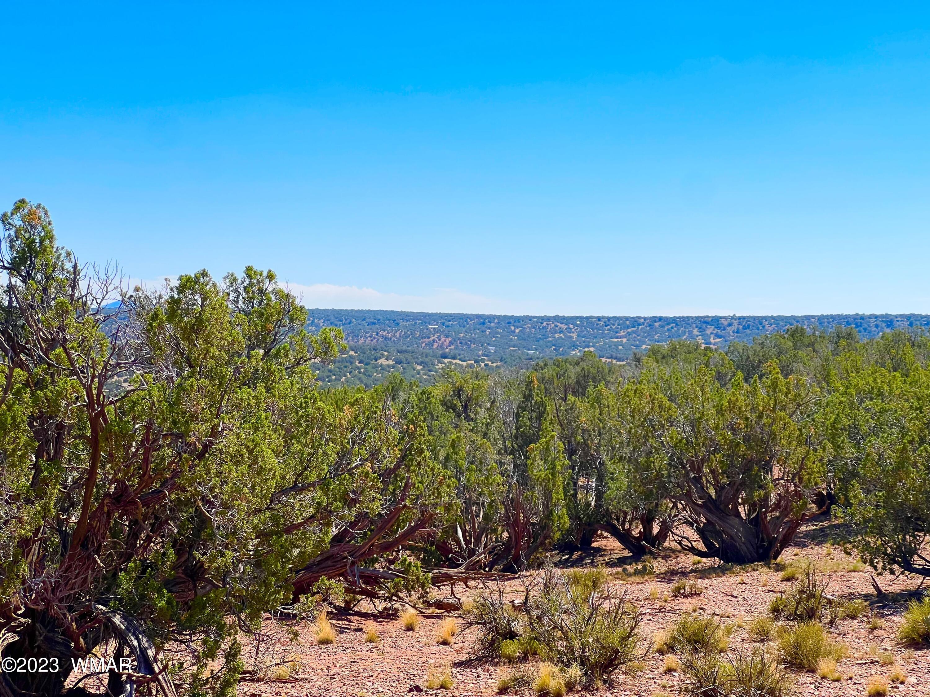 18 Acres Snowflake Az 85937 Snowflake, AZ 85937 - Photo 7 of 23