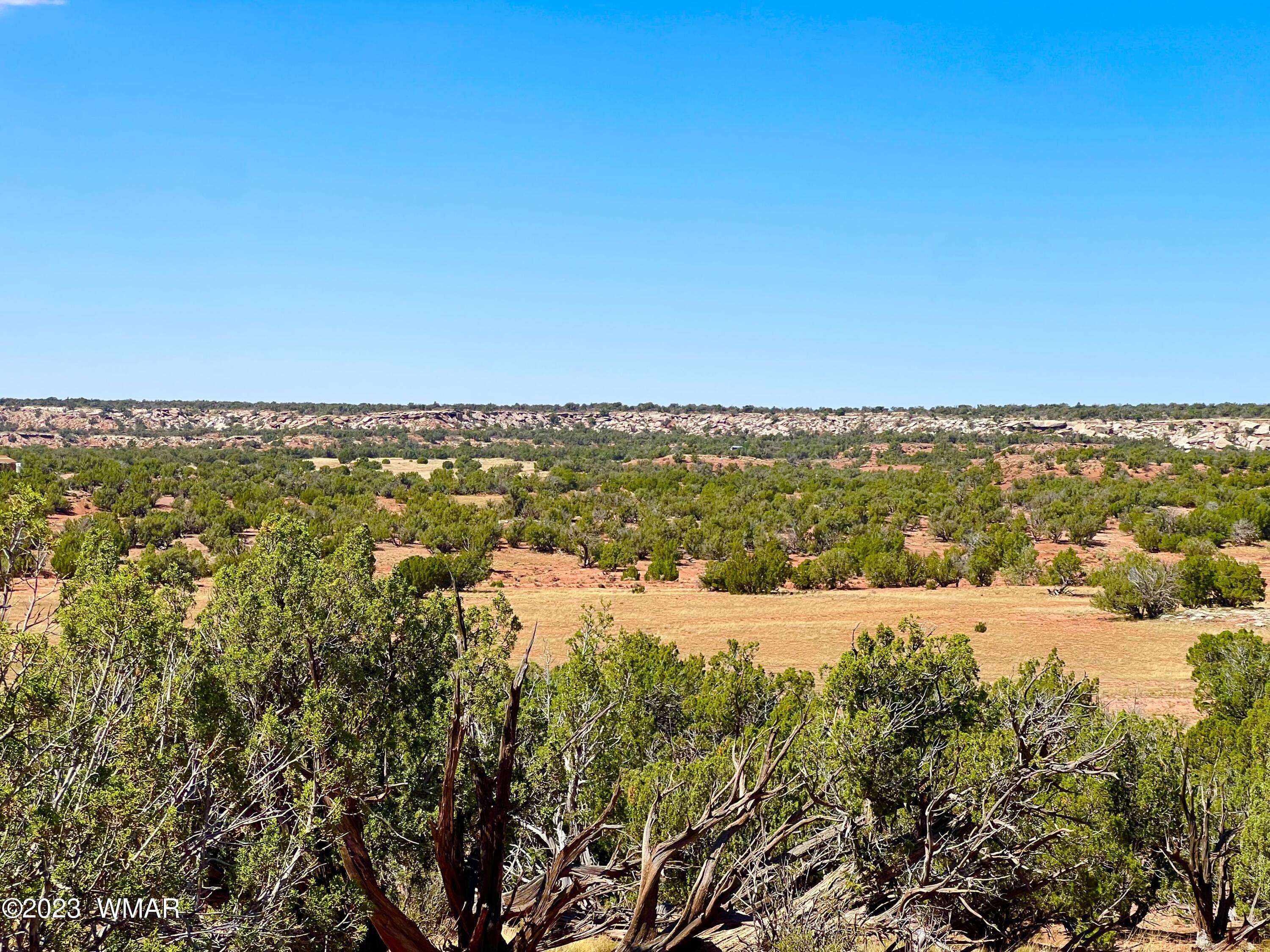 18 Acres Snowflake Az 85937 Snowflake, AZ 85937 - Photo 8 of 23